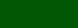 #015703 Color Information