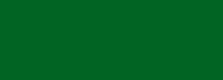 #016324 Color Information