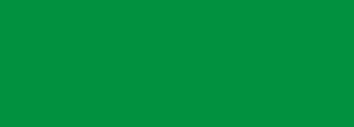 #01913f Color Information