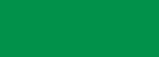 #01914a Color Information