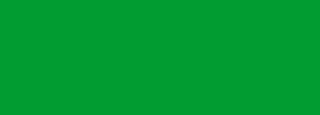 #019c31 Color Information