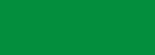 #028e3d Color Information