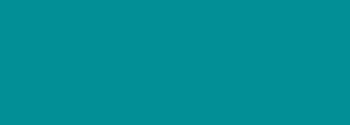 #028f96 Color Information