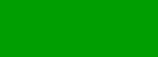 #029d01 Color Information
