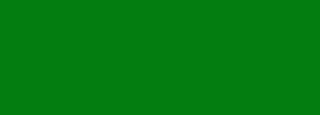 #037d10 Color Information