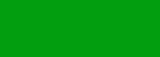 #039d10 Color Information