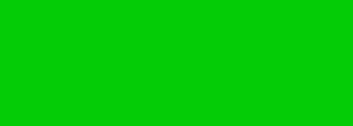 #04cc06 Color Information