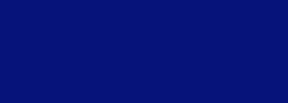 #06137a Color Information