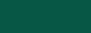 #075745 Color Information