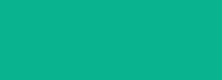 #07b38f Color Information