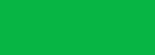 #07b544 Color Information