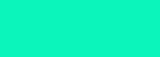 #0bf5bb Color Information