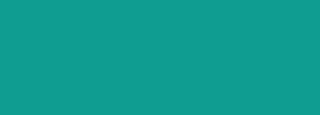 #0e9d8e Color Information