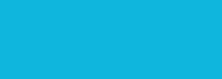 #0fb6dd Color Information