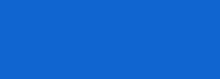 #1065d1 Color Information