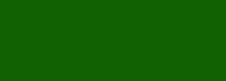 #116002 Color Information