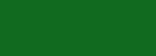 #116a1f Color Information