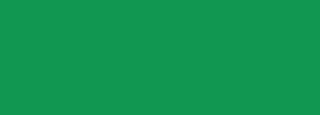 #119751 Color Information