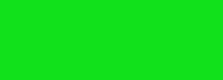 #11e11b Color Information