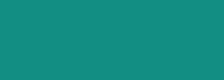 #128e83 Color Information