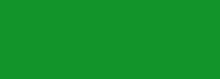 #12942b Color Information