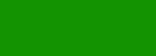 #139301 Color Information