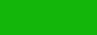 #13b60a Color Information