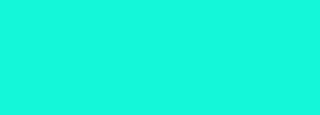 #14f8d7 Color Information