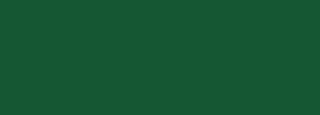 #155733 Color Information