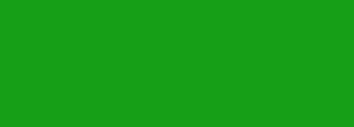 #169f17 Color Information