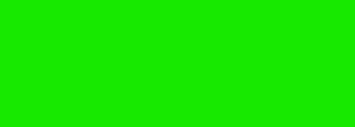 #17e901 Color Information