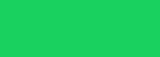 #19d15f Color Information