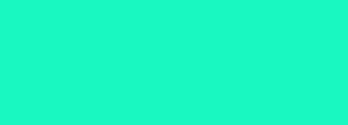 #19f8c1 Color Information
