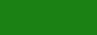 #1b8114 Color Information