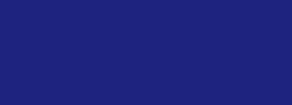 #1c237e Color Information