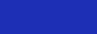 #1f2fb8 Color Information