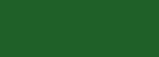 #1f6028 Color Information