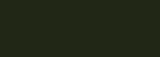 #212716 Color Information