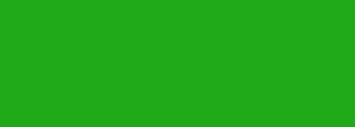 #21a917 Color Information
