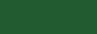 #225b30 Color Information