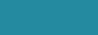 #238a9f Color Information