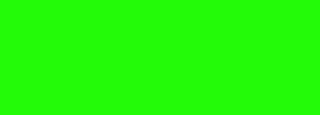#23fb08 Color Information