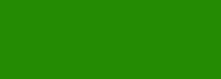 #248b03 Color Information