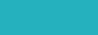 #25b1be Color Information