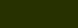 #273100 Color Information