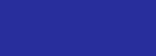 #282f9d Color Information