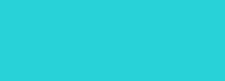 #28d2d8 Color Information