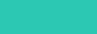 #2dc8b4 Color Information