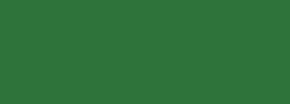 #2e723b Color Information