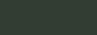 #323d33 Color Information